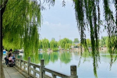 周日晴好宜上班!濟(jì)南雙節(jié)前夕秋雨上線(xiàn) 氣溫有望創(chuàng)新低